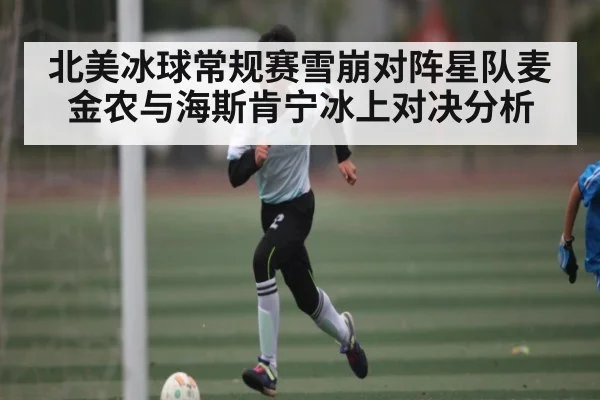 北美冰球常规赛雪崩对阵星队麦金农与海斯肯宁冰上对决分析 - kaiyun sports
